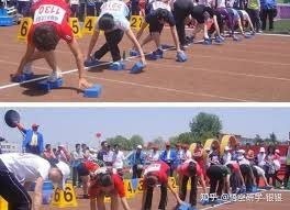 黄蜂鹈鹕魔术活塞